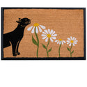 4 Cats & Dogs Spring Kitty Sniff Rectangular Entrance Mat