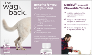 Doxidyl 25mg Chewable Tablets