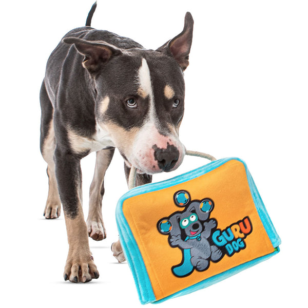 GURU Fun Box Plush Puzzle Bag Dog Toy