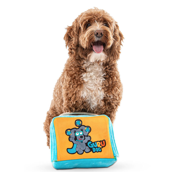 GURU Fun Box Plush Puzzle Bag Dog Toy