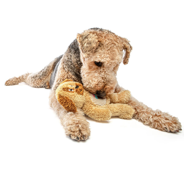 GURU Soft Scents Plush Dog Toy Dog