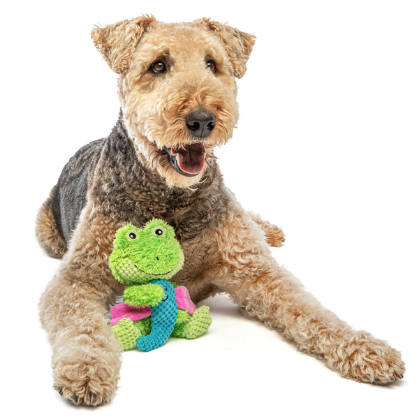 GURU Loveys Dog Toy, Frog, Medium