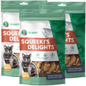 Dr. Marty Squeeki's Delights Freeze-Dried Raw Salmon Cat Treats, 4-oz 3-pack