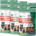 Dr. Marty Squeeki's Delights Freeze-Dried Raw Salmon Cat Treats, 4-oz 6-pack