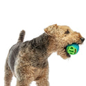 GURU Pocket Ball Dog Toy with dog