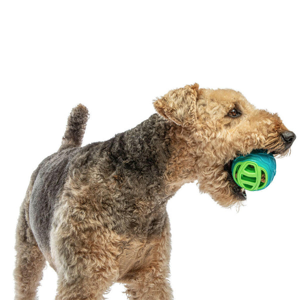 GURU Pocket Ball Dog Toy with dog