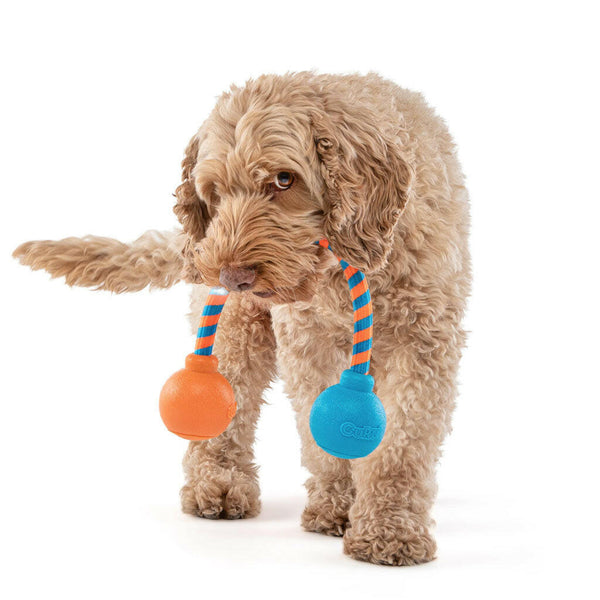 GURU Squeaking Rope Dog Toy with dog