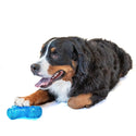 GURU No Begging! Bone Treat Dispenser Dog Toy, Medium with dog