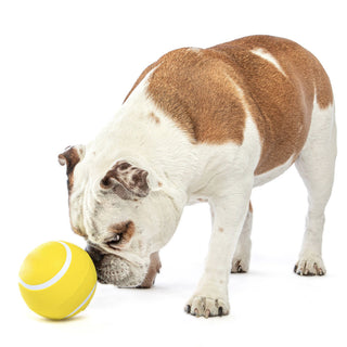 GURU Giggling Tennis Ball Dog Toy with Dog