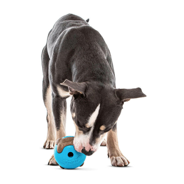 GURU Busy Ball Treat Dispenser Dog Toy