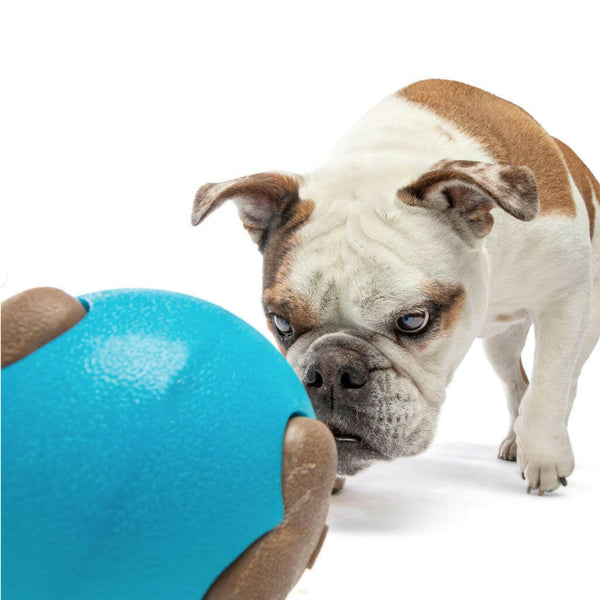 GURU Busy Ball Treat Dispenser Dog Toy with Dog