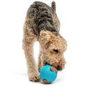 GURU Busy Ball Treat Dispenser Dog Toy