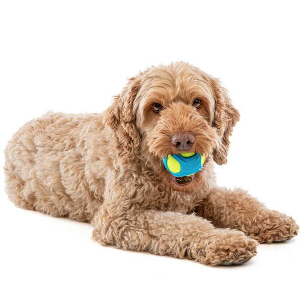 GURU Tennis Max Ball Dog Toy with dog