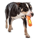 GURU Tennis Max Stick Dog Toy with DOg