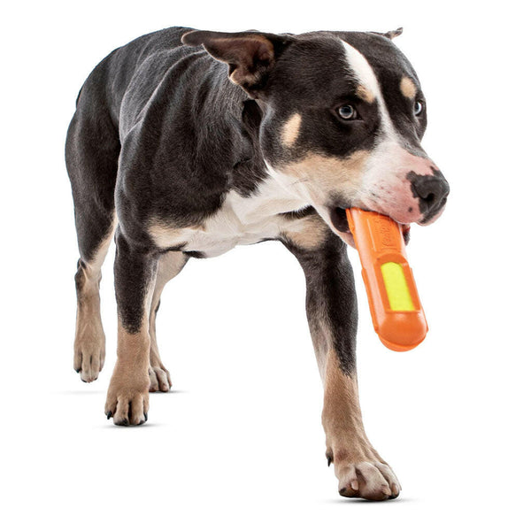 GURU Tennis Max Stick Dog Toy with DOg