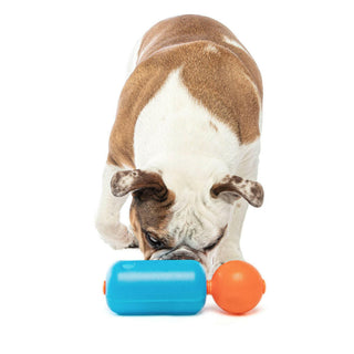 GURU Treat Challenger Dispenser Dog Toy with dog