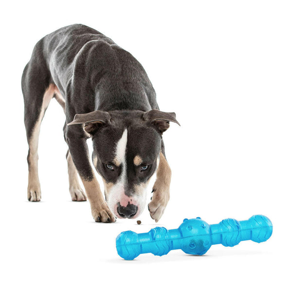 GURU Shaker Stick Treat Dispenser Toy with Dog