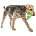 GURU Spin & Treat Stick Treat Dispenser Dog Toy