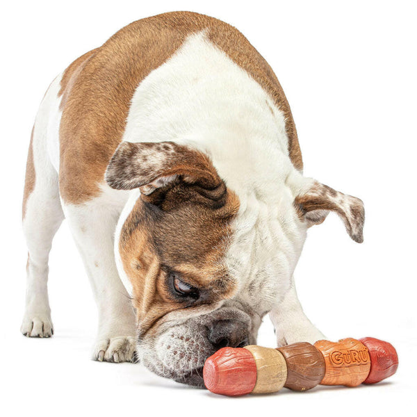 GURU Multi-Flavor Chew Stick Dog Toy with dog smeling 