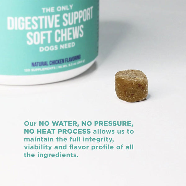 Natural Rapport The Only Digestive Support Soft Chews Dogs Need Digestive Supplement