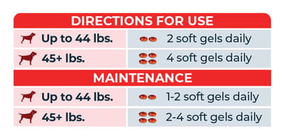 Antinol Plus for Dogs - Hip & Joint Mobility Supplement Capsules
