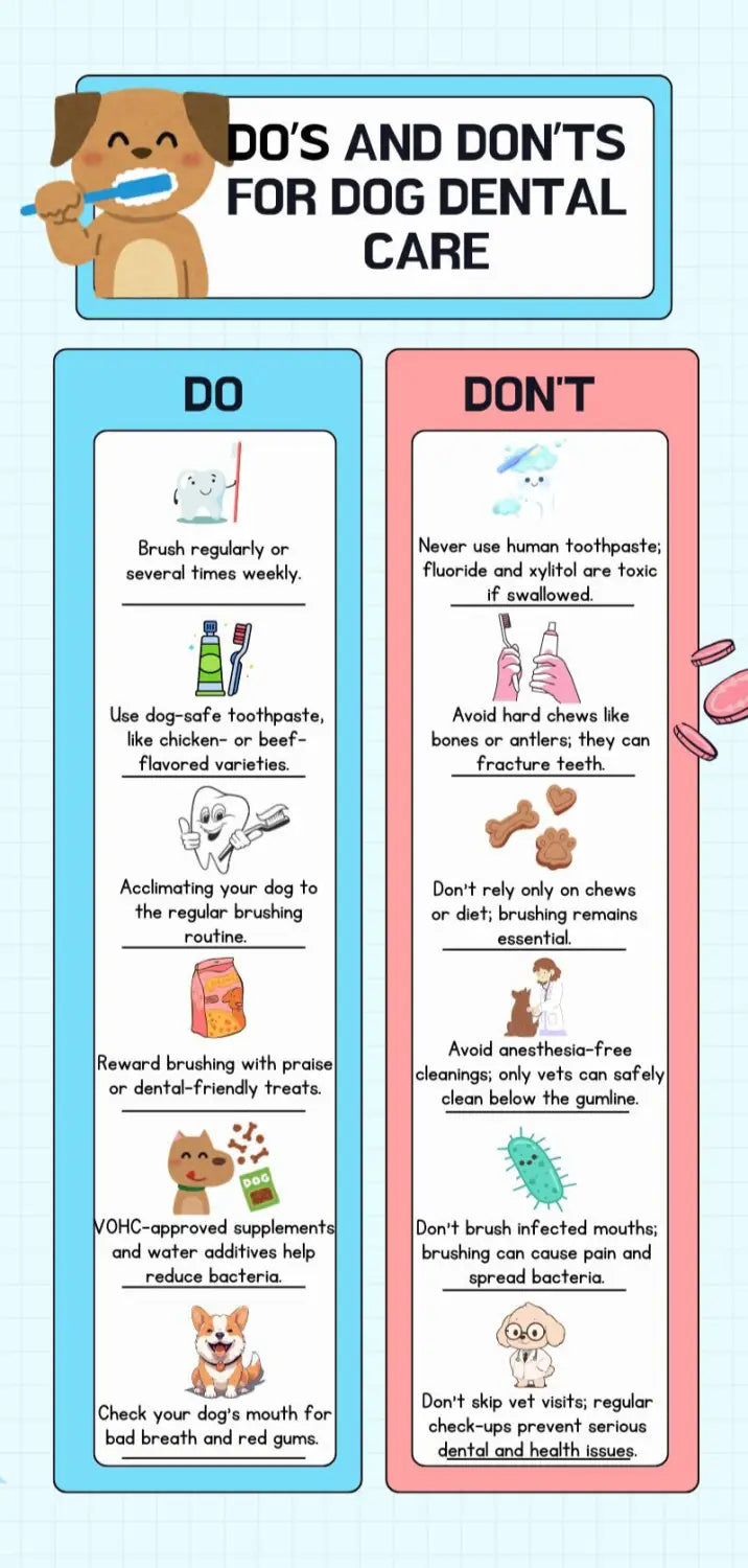 5 Best Dental Care Products: Every Pet Parent Should Know