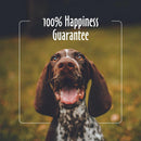 Earthbath Mediterranean Magic Deodorizing Shampoo for Dogs & Cats (16 oz)-6