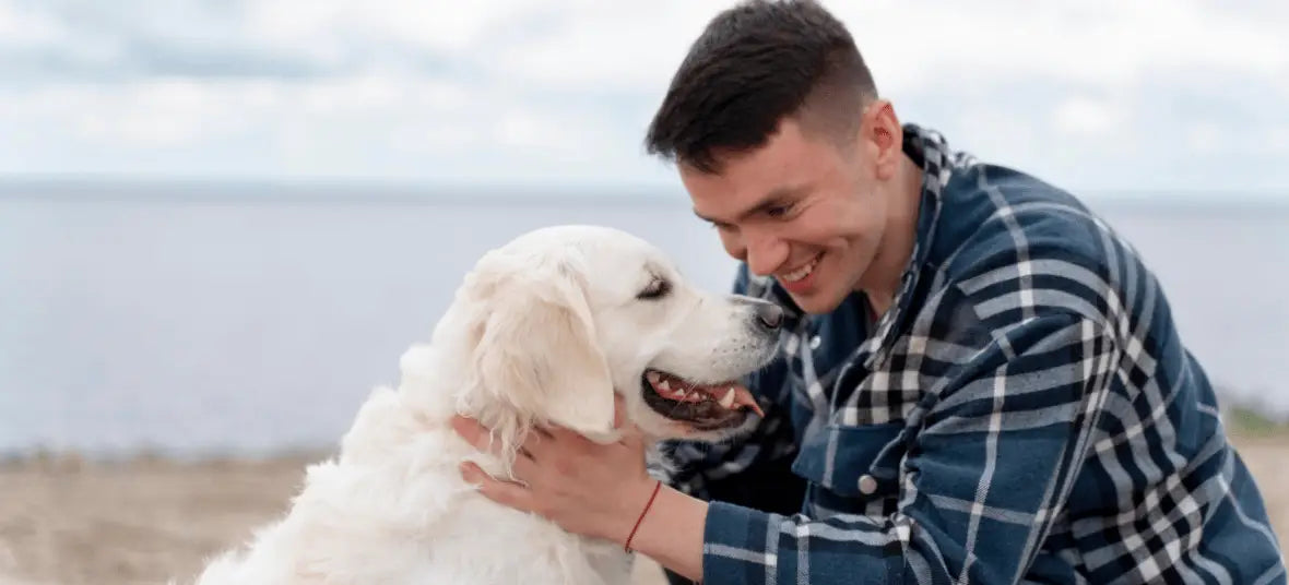 National Dog Dad Day 2026: Date History and How to Celebrate