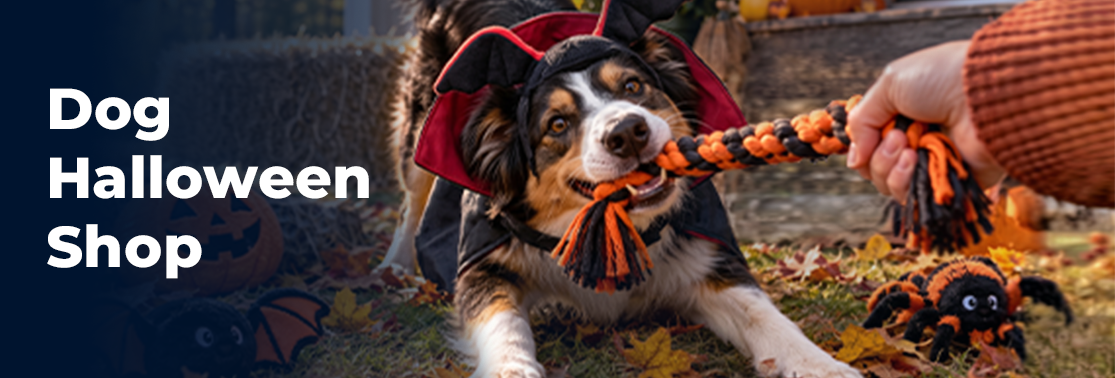 Dog halloween shop