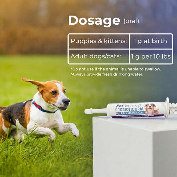 Pet Scholars Probiotic Oral Gel for Dogs & Cats, 30 cc