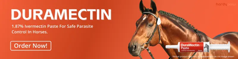 Durvet Duramectin Deworming paste for horses
