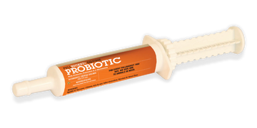 Equine Probiotic Paste (10 tubes) - 0