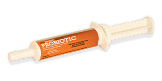 Equine Probiotic Paste (10 tubes)