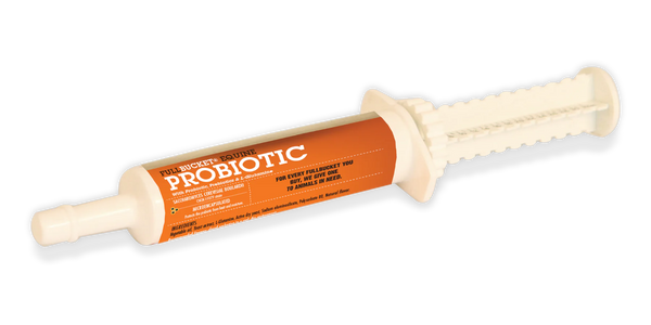 Equine Probiotic Paste (24 tubes)
