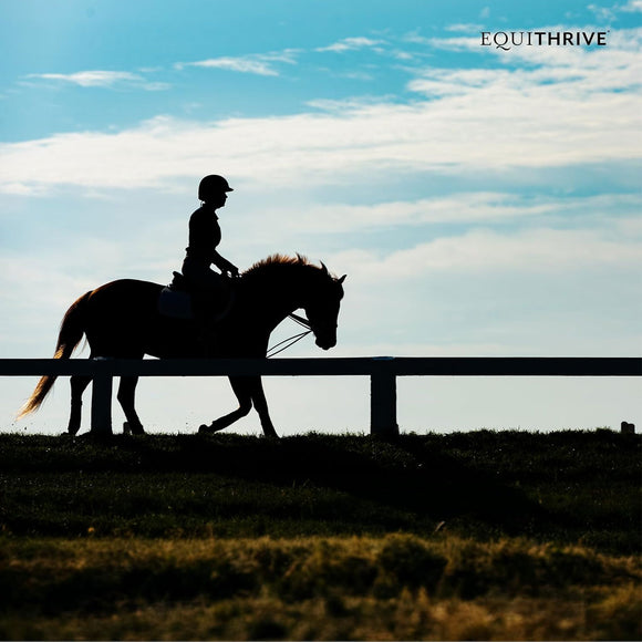 Equithrive Classic Joint Pellets for Horses