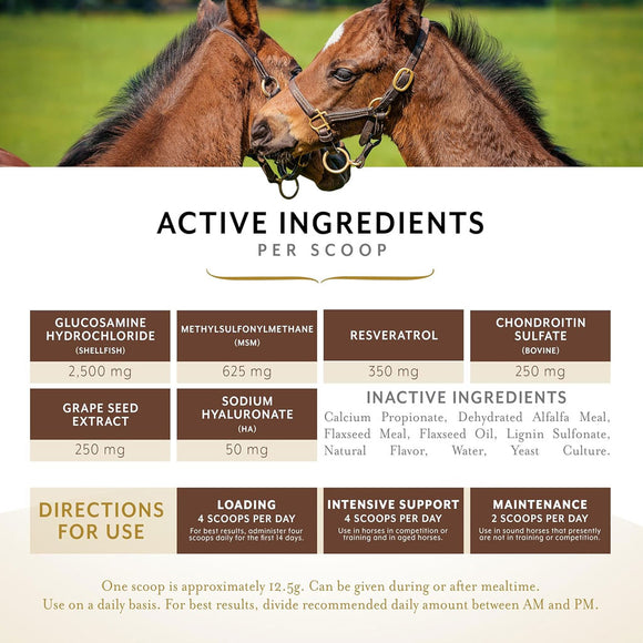 Equithrive Complete Joint Pellets for Horses