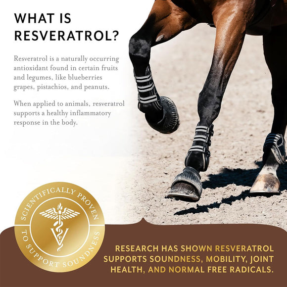 Equithrive Complete Joint Pellets for Horses
