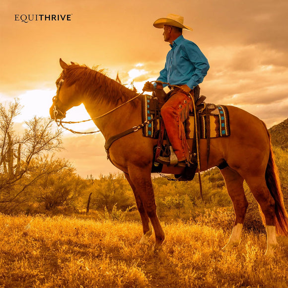 Equithrive Complete Joint Pellets for Horses