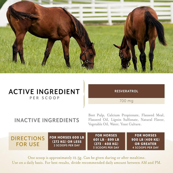 Equithrive Metabarol Metabolism Support Horse Supplement