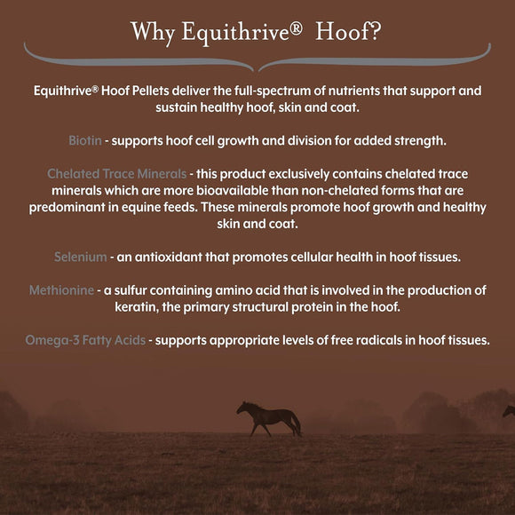 Equithrive Hoof Pellets Horse Supplements