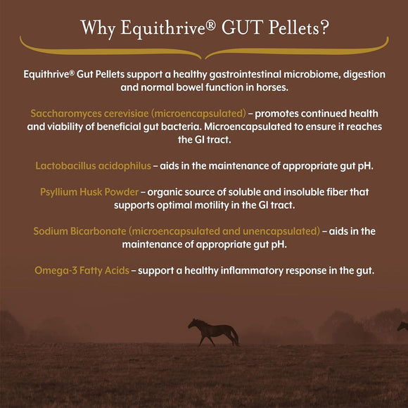 Equithrive GUT Pellets Horse Supplements