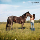 Equithrive GUT Pellets Horse Supplements