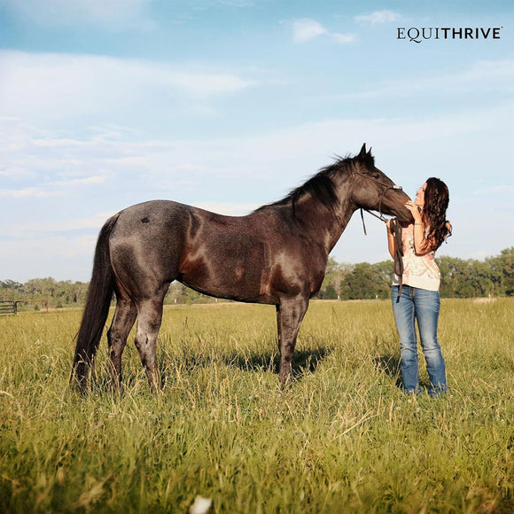 Equithrive GUT Pellets Horse Supplements