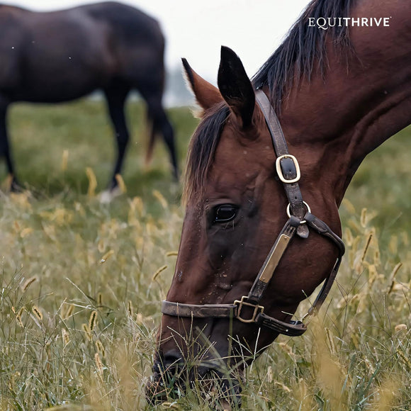 Equithrive Vitamin E Pellets Horse Supplements