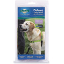 PetSafe Deluxe Easy Walk No Pull Dog Harness, Apple/Black Medium/Large