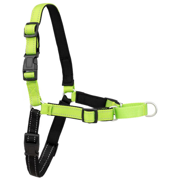 PetSafe Deluxe Easy Walk No Pull Dog Harness, Apple/Black