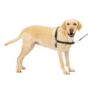 PetSafe Easy Walk Dog Harness Black/Silver, Large