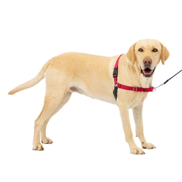 PetSafe Easy Walk Dog Harness Black/Red, Large