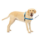 PetSafe Easy Walk Dog Harness Royal Blue/Navy, X-Large