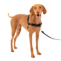 PetSafe Easy Walk Dog Harness Black/Silver, Medium